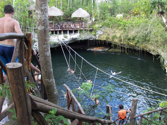 https://mdw-travel-data-us-east-1.s3.amazonaws.com/img/country/Mexico/Selvatica-Cancun/img_01.jpg