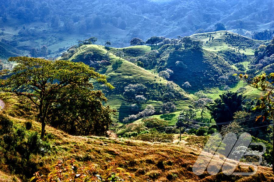 https://mdw-travel-data-us-east-1.s3.amazonaws.com/img/country/Mexico/Sierra-Norte-de-Puebla/img_01.jpg