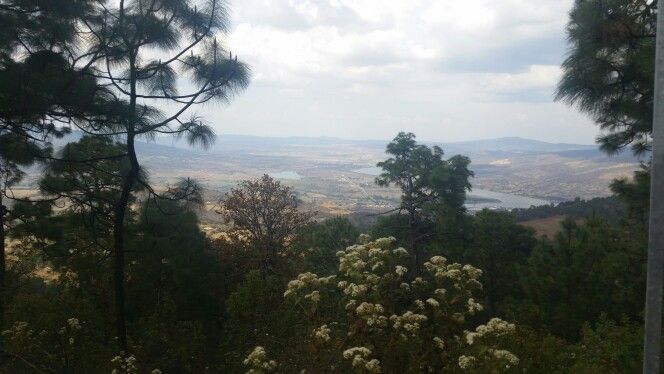 https://mdw-travel-data-us-east-1.s3.amazonaws.com/img/country/Mexico/Sierra-de-Mazamitla/img_03.jpg