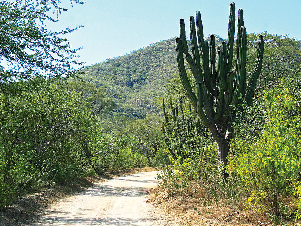 https://mdw-travel-data-us-east-1.s3.amazonaws.com/img/country/Mexico/Sierra-de-la-Laguna/img_03.jpg