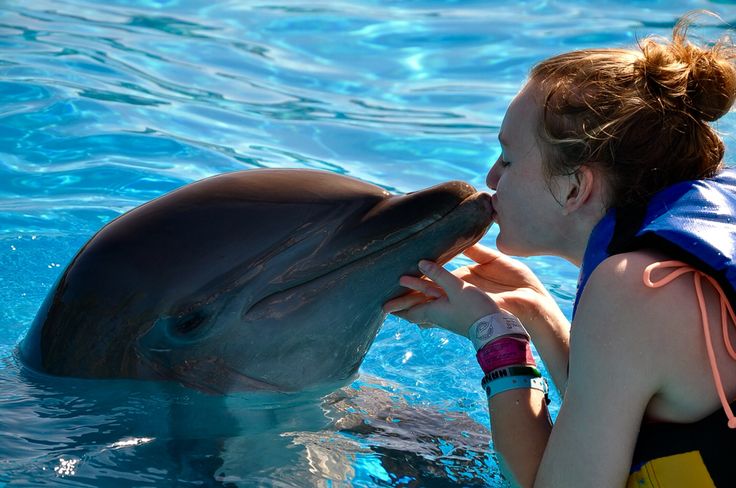 https://mdw-travel-data-us-east-1.s3.amazonaws.com/img/country/Mexico/Swim-with-Dolphins/img_00.jpg