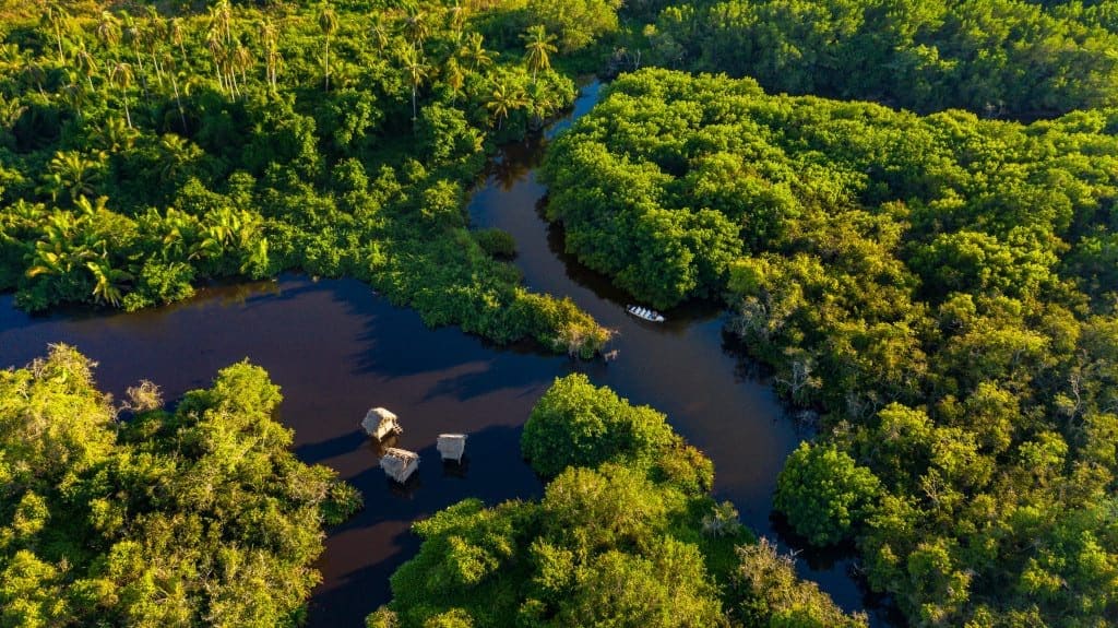 https://mdw-travel-data-us-east-1.s3.amazonaws.com/img/country/Mexico/Tancitaro-National-Park/img_03.jpg