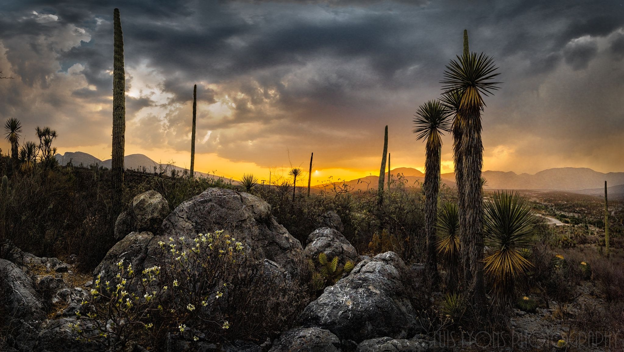 https://mdw-travel-data-us-east-1.s3.amazonaws.com/img/country/Mexico/Tehuacan-Cuicatlan-Biosphere-Reserve/img_01.jpg