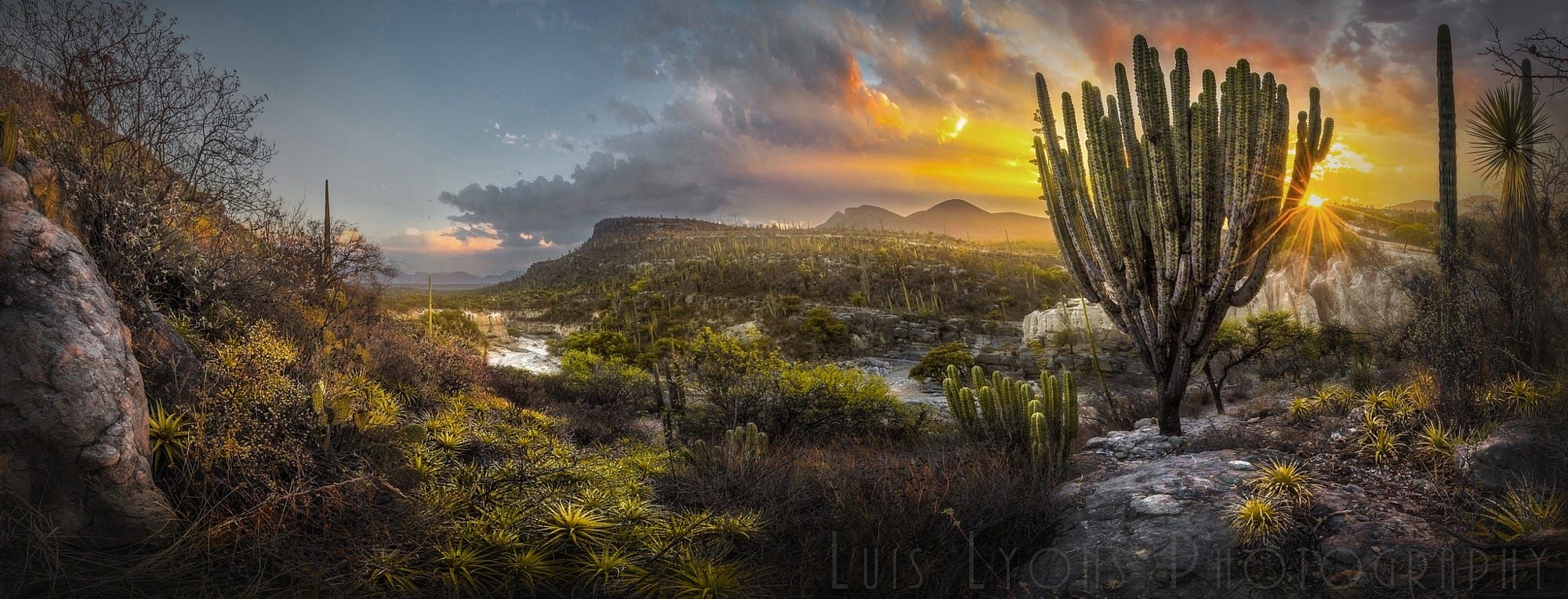 https://mdw-travel-data-us-east-1.s3.amazonaws.com/img/country/Mexico/Tehuacan-Cuicatlan-Biosphere-Reserve/img_03.jpg