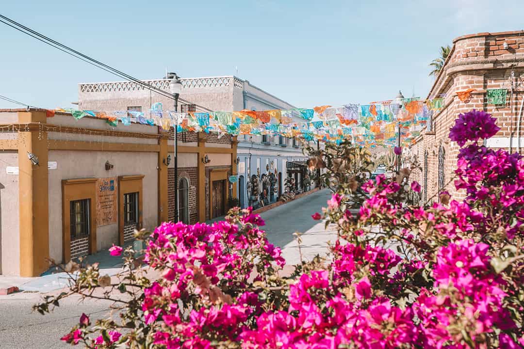 https://mdw-travel-data-us-east-1.s3.amazonaws.com/img/country/Mexico/Todos-Santos/img_02.jpg