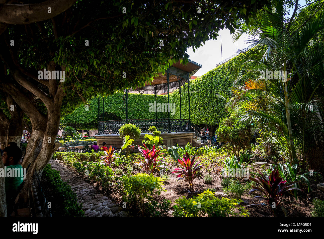 https://mdw-travel-data-us-east-1.s3.amazonaws.com/img/country/Mexico/Union-Garden--Jardin-de-la-Union-/img_01.jpg