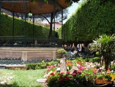 https://mdw-travel-data-us-east-1.s3.amazonaws.com/img/country/Mexico/Union-Garden--Jardin-de-la-Union-/img_02.jpg