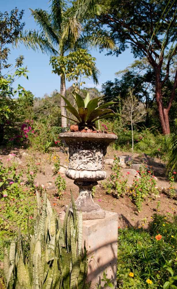 https://mdw-travel-data-us-east-1.s3.amazonaws.com/img/country/Mexico/Vallarta-Botanical-Gardens/img_02.jpg