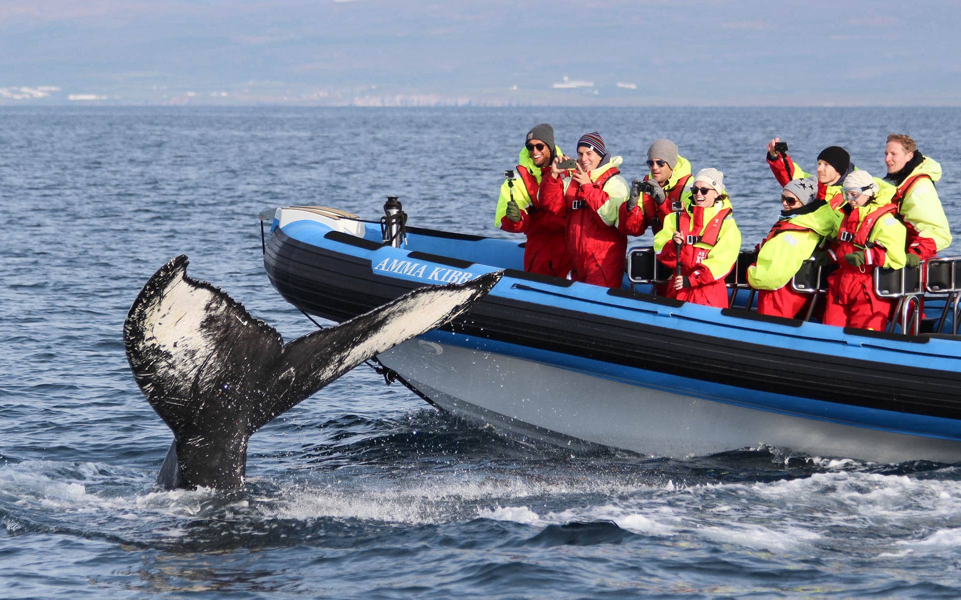 https://mdw-travel-data-us-east-1.s3.amazonaws.com/img/country/Mexico/Whale-watching-tour/img_03.jpg