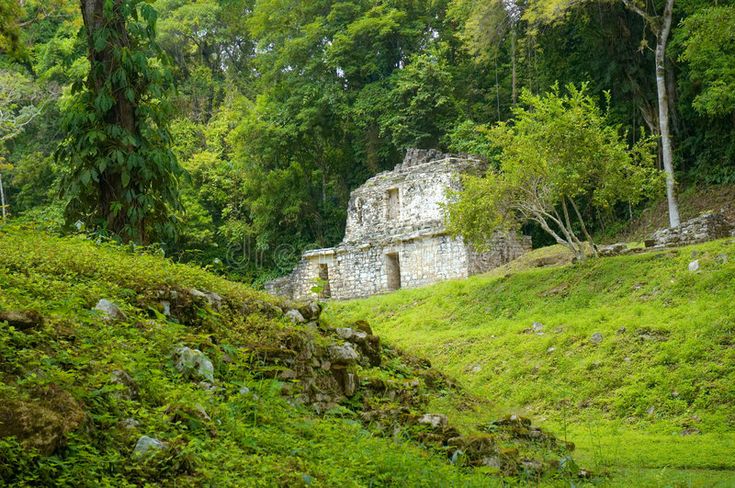 https://mdw-travel-data-us-east-1.s3.amazonaws.com/img/country/Mexico/Yaxchilan-Archaeological-Zone/img_01.jpg