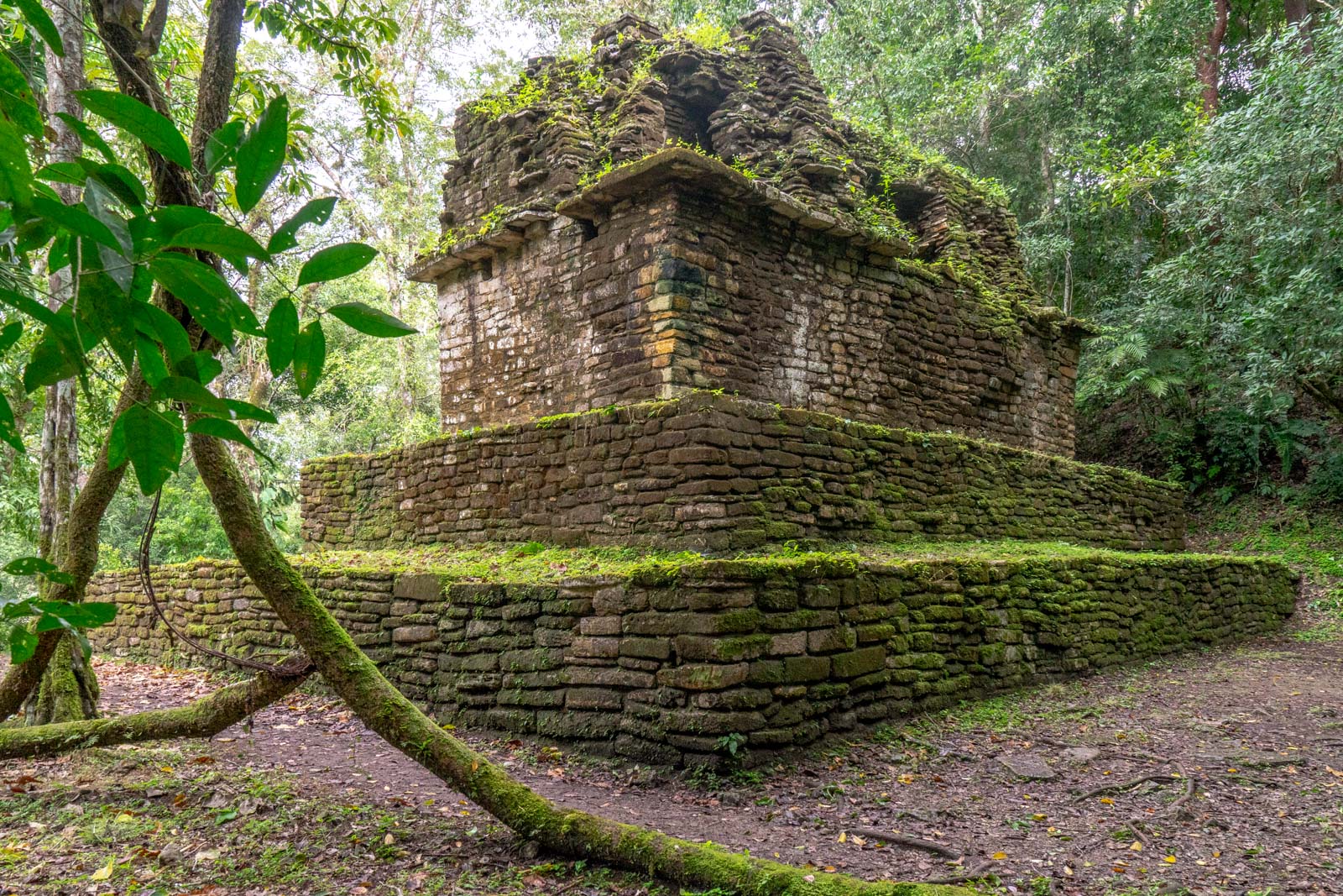 https://mdw-travel-data-us-east-1.s3.amazonaws.com/img/country/Mexico/Yaxchilan-Archaeological-Zone/img_02.jpg