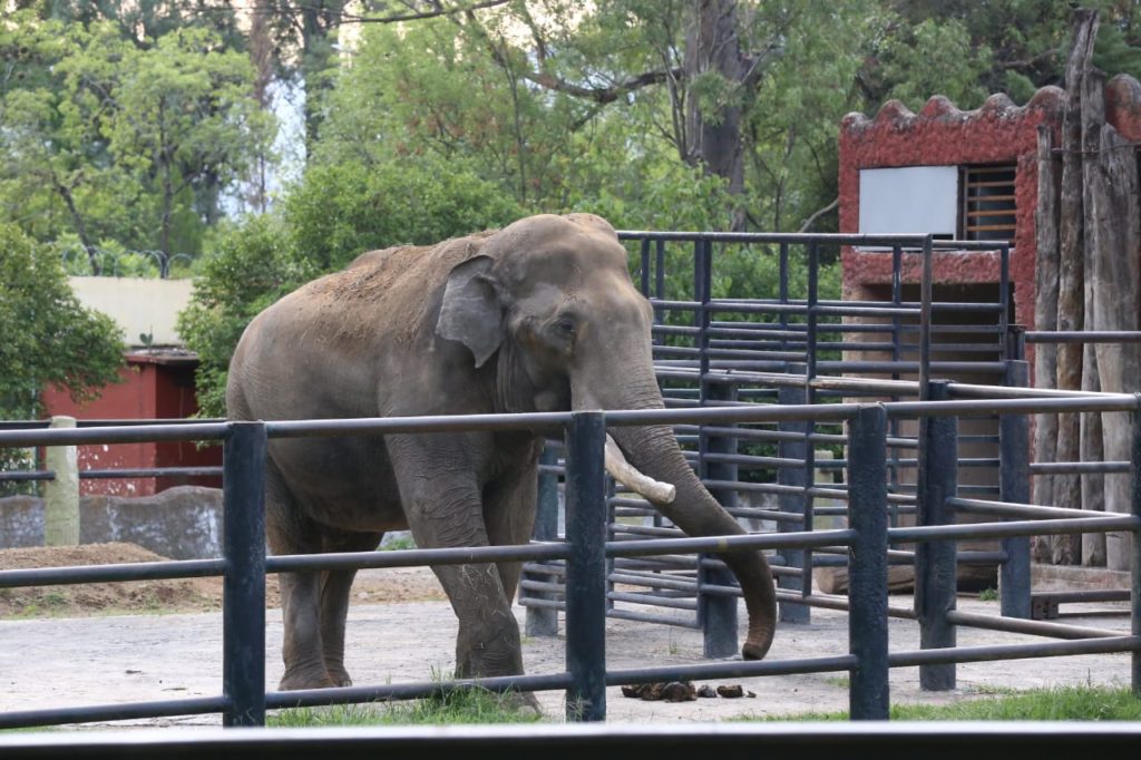 https://mdw-travel-data-us-east-1.s3.amazonaws.com/img/country/Mexico/Zoologico-de-Morelia/img_02.jpg