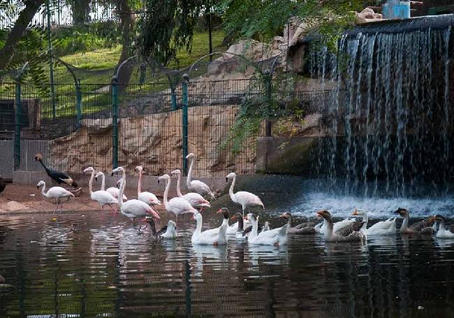 https://mdw-travel-data-us-east-1.s3.amazonaws.com/img/country/Morocco/Agadir-Birds-Valley/img_03.jpg
