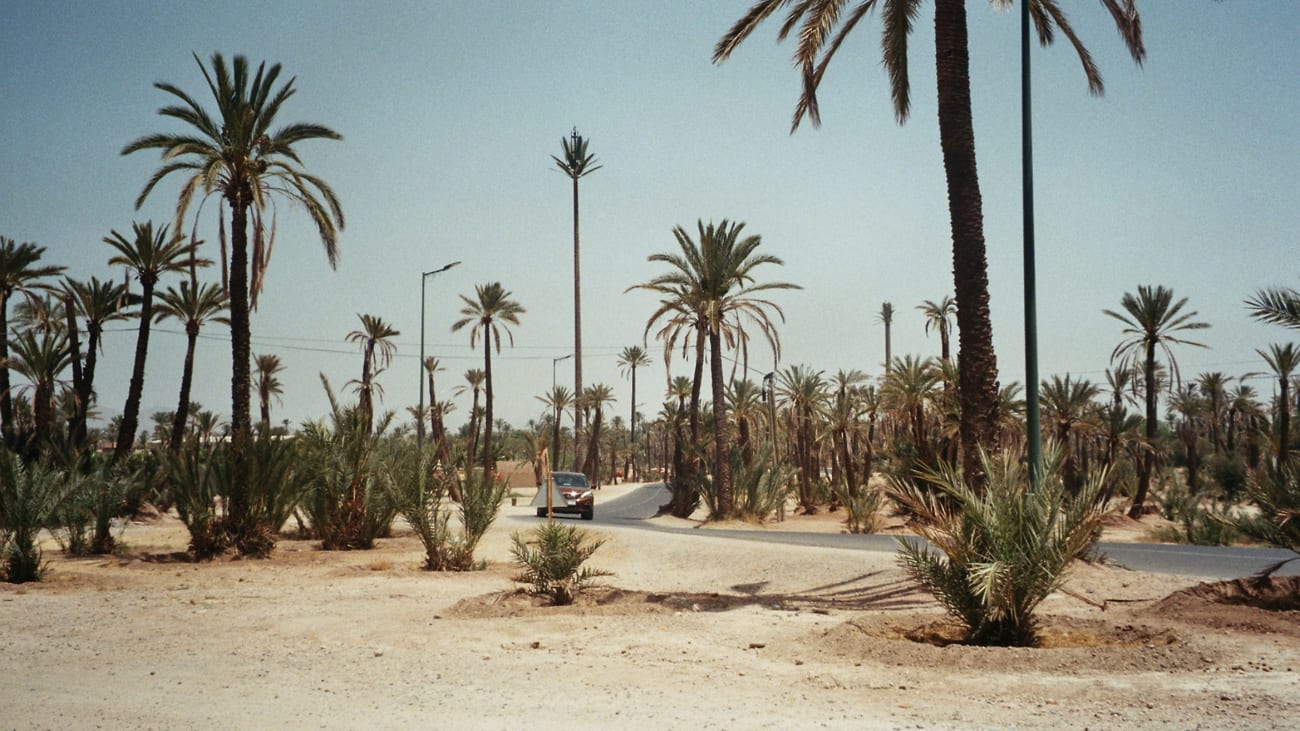 https://mdw-travel-data-us-east-1.s3.amazonaws.com/img/country/Morocco/Agdz-Palm-Groves/img_01.jpg