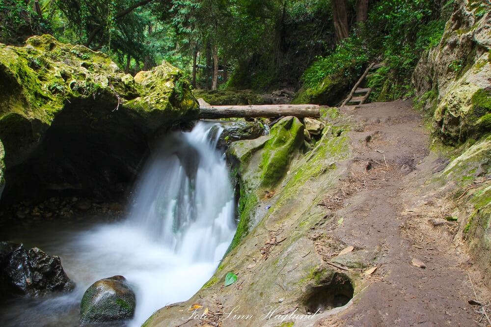 https://mdw-travel-data-us-east-1.s3.amazonaws.com/img/country/Morocco/Akchour-Waterfalls/img_03.jpg