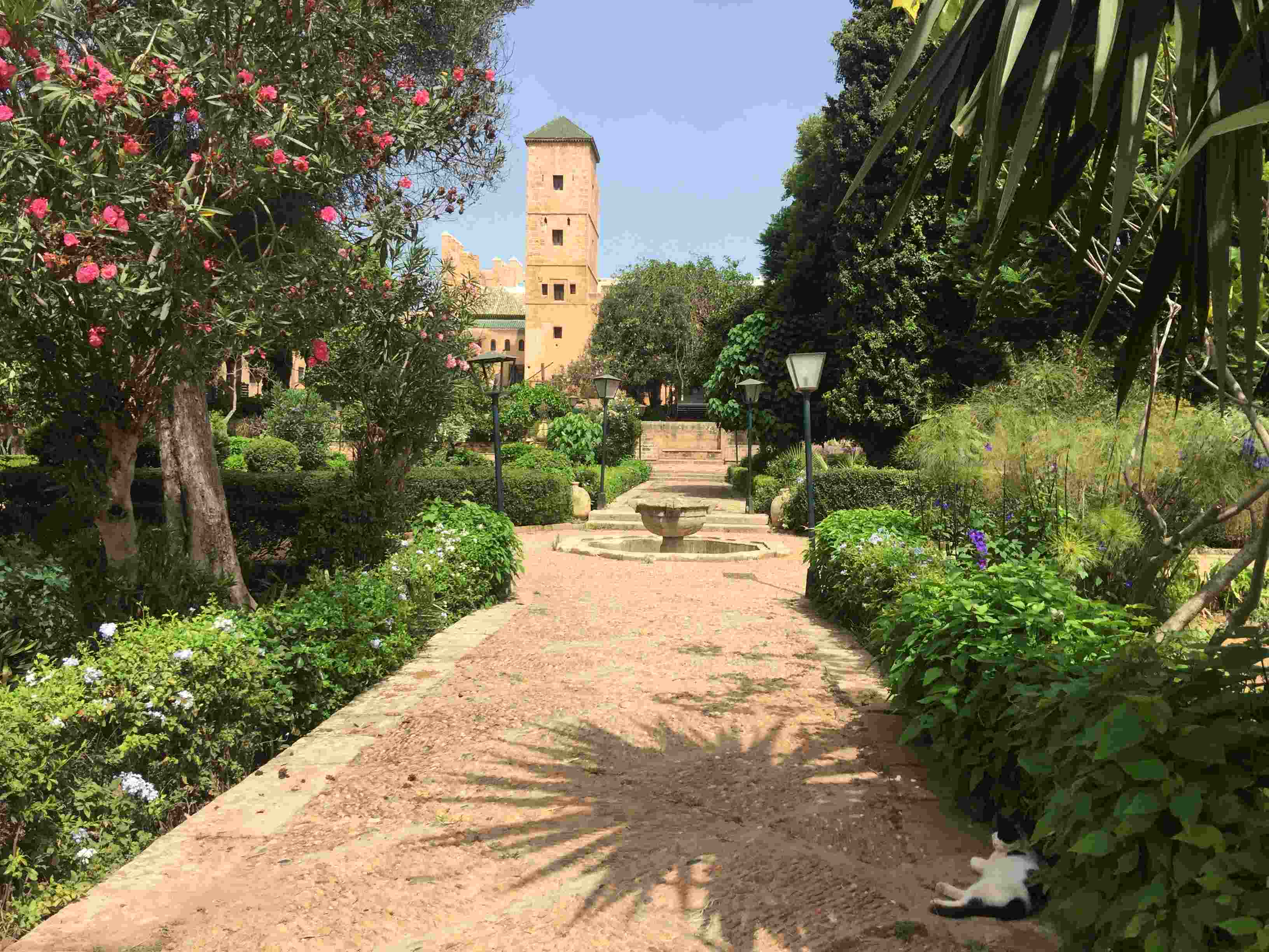 https://mdw-travel-data-us-east-1.s3.amazonaws.com/img/country/Morocco/Andalusian-Gardens/img_02.jpg