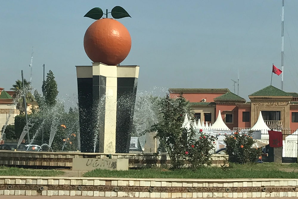 https://mdw-travel-data-us-east-1.s3.amazonaws.com/img/country/Morocco/Berkane-Oasis/img_03.jpg
