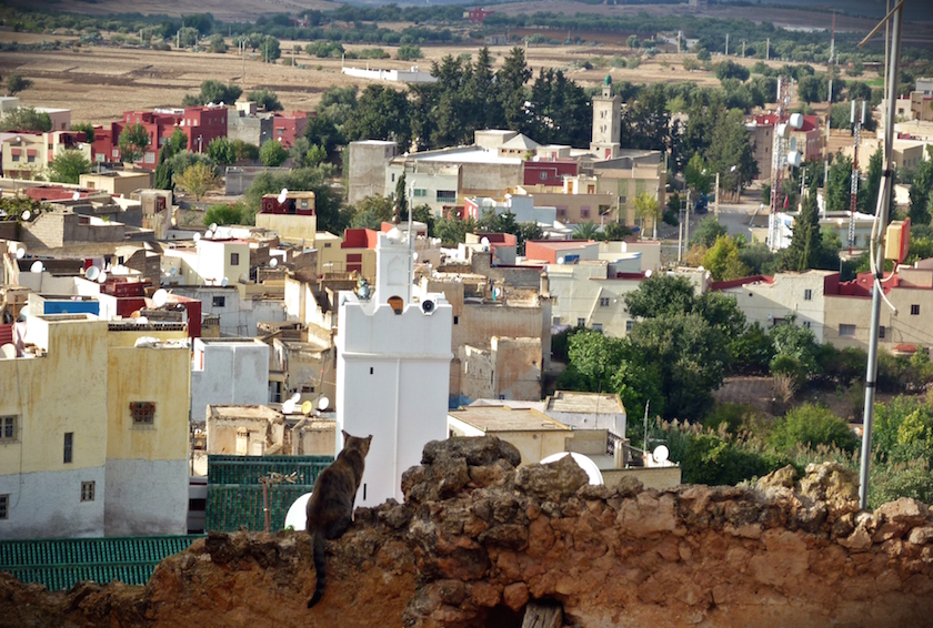 https://mdw-travel-data-us-east-1.s3.amazonaws.com/img/country/Morocco/Bhalil/img_01.jpg