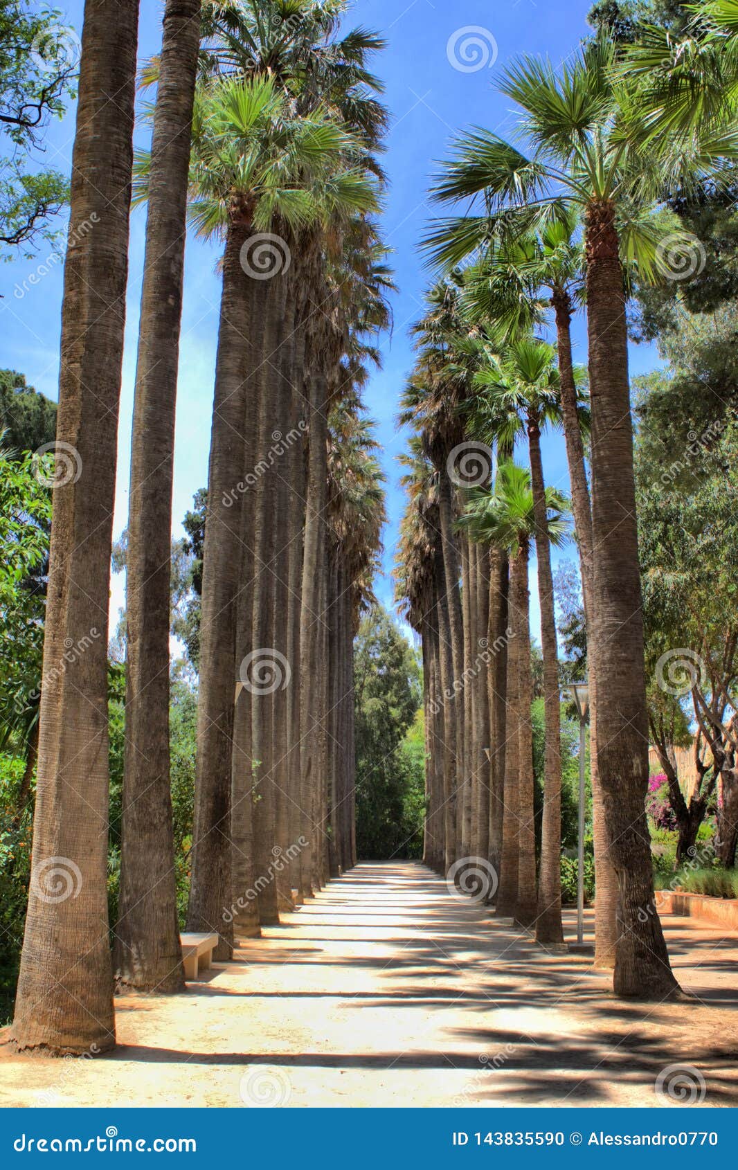 https://mdw-travel-data-us-east-1.s3.amazonaws.com/img/country/Morocco/Bou-Jeloud-Gardens/img_04.jpg