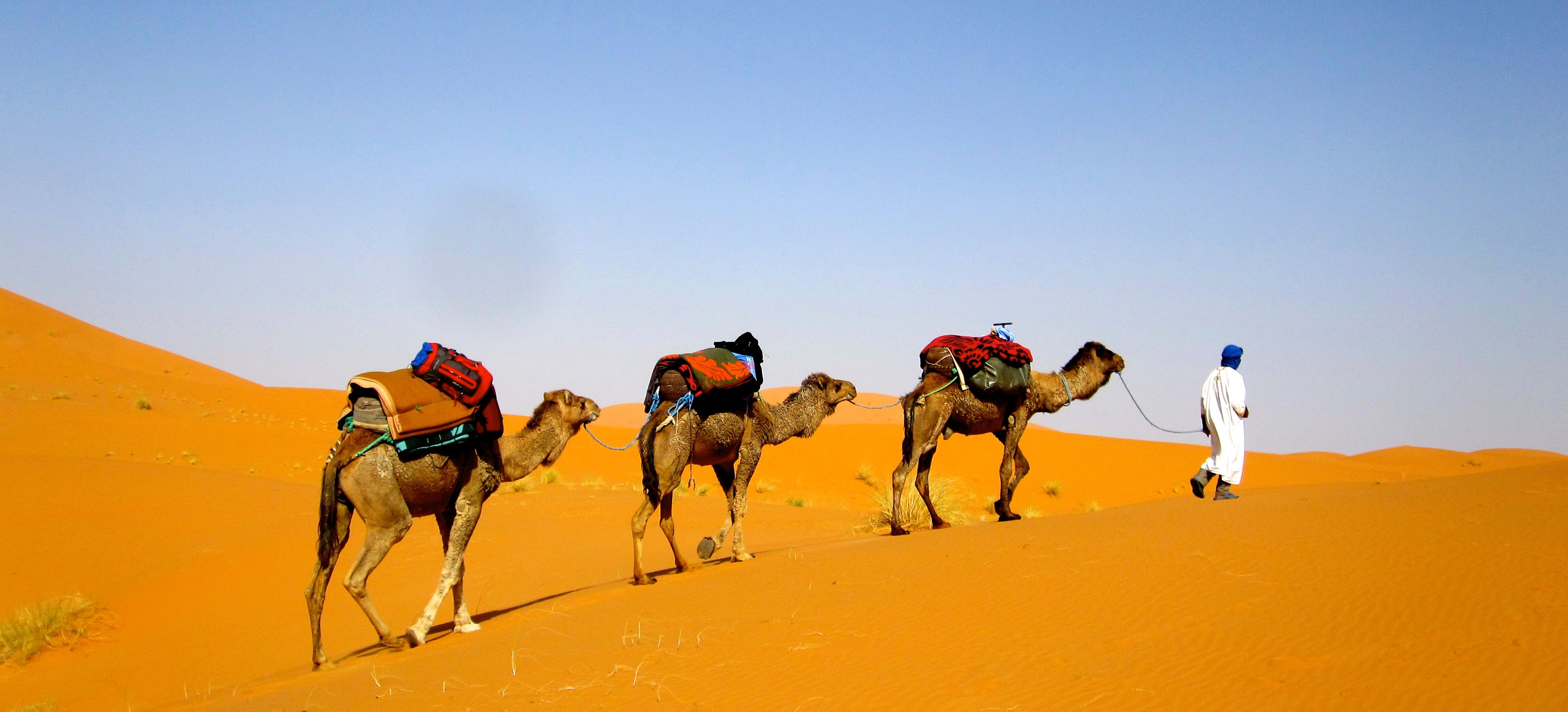 https://mdw-travel-data-us-east-1.s3.amazonaws.com/img/country/Morocco/Camel-Trekking/img_00.jpg