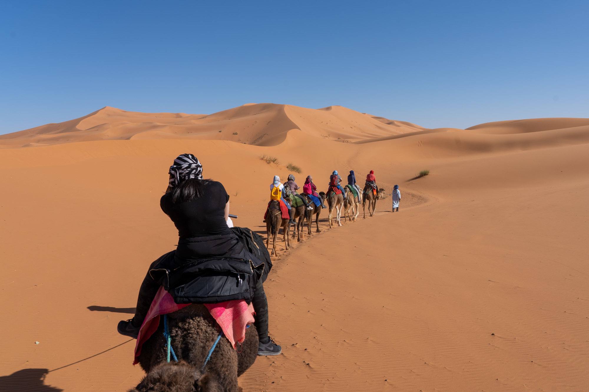 https://mdw-travel-data-us-east-1.s3.amazonaws.com/img/country/Morocco/Camel-Trekking/img_01.jpg