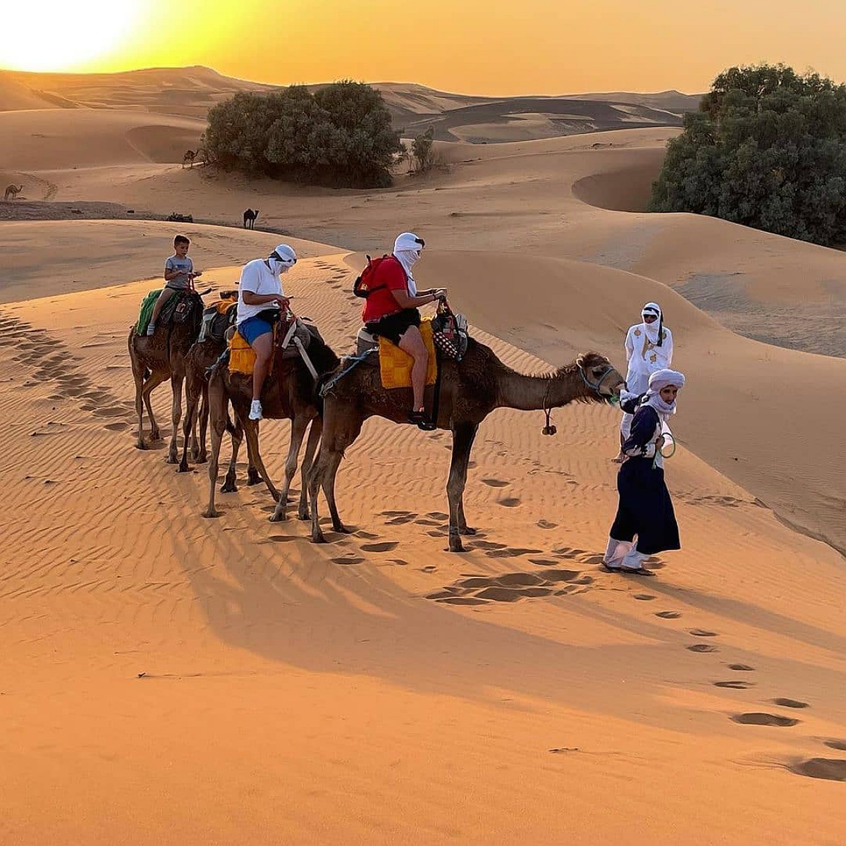 https://mdw-travel-data-us-east-1.s3.amazonaws.com/img/country/Morocco/Camel-Trekking/img_02.jpg