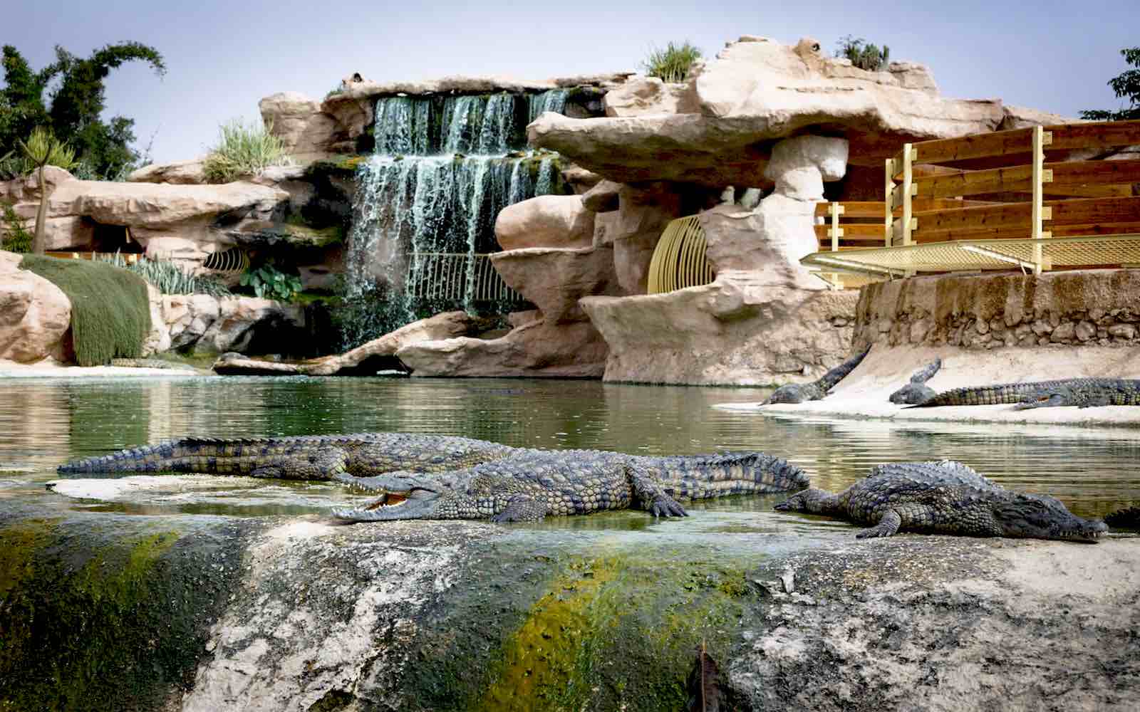 https://mdw-travel-data-us-east-1.s3.amazonaws.com/img/country/Morocco/Crocoparc-Agadir/img_01.jpg