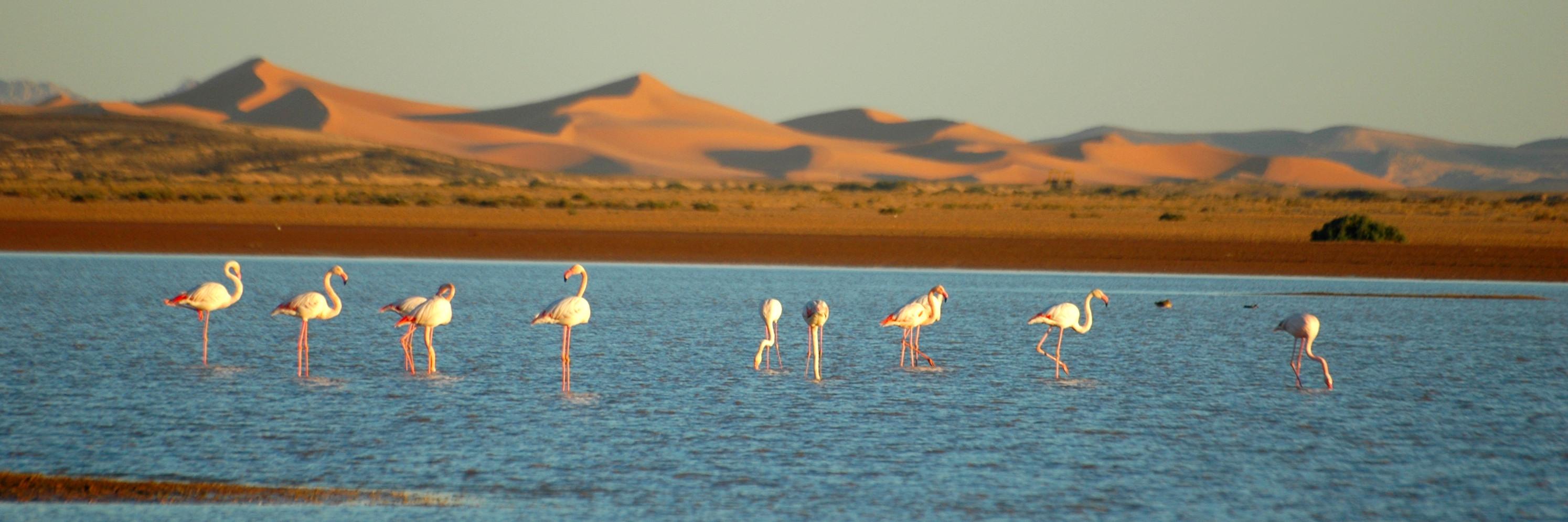 https://mdw-travel-data-us-east-1.s3.amazonaws.com/img/country/Morocco/Dayet-Srji/img_02.jpg