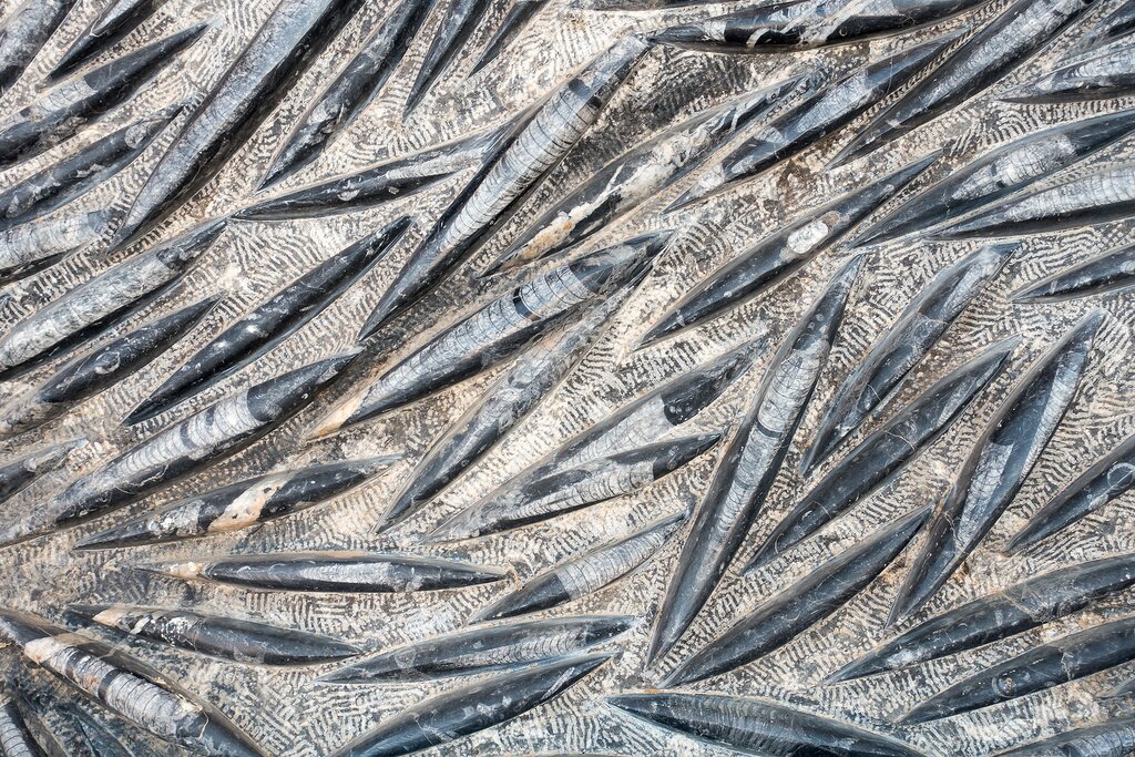 https://mdw-travel-data-us-east-1.s3.amazonaws.com/img/country/Morocco/Erfoud-Fossil-Museum/img_02.jpg