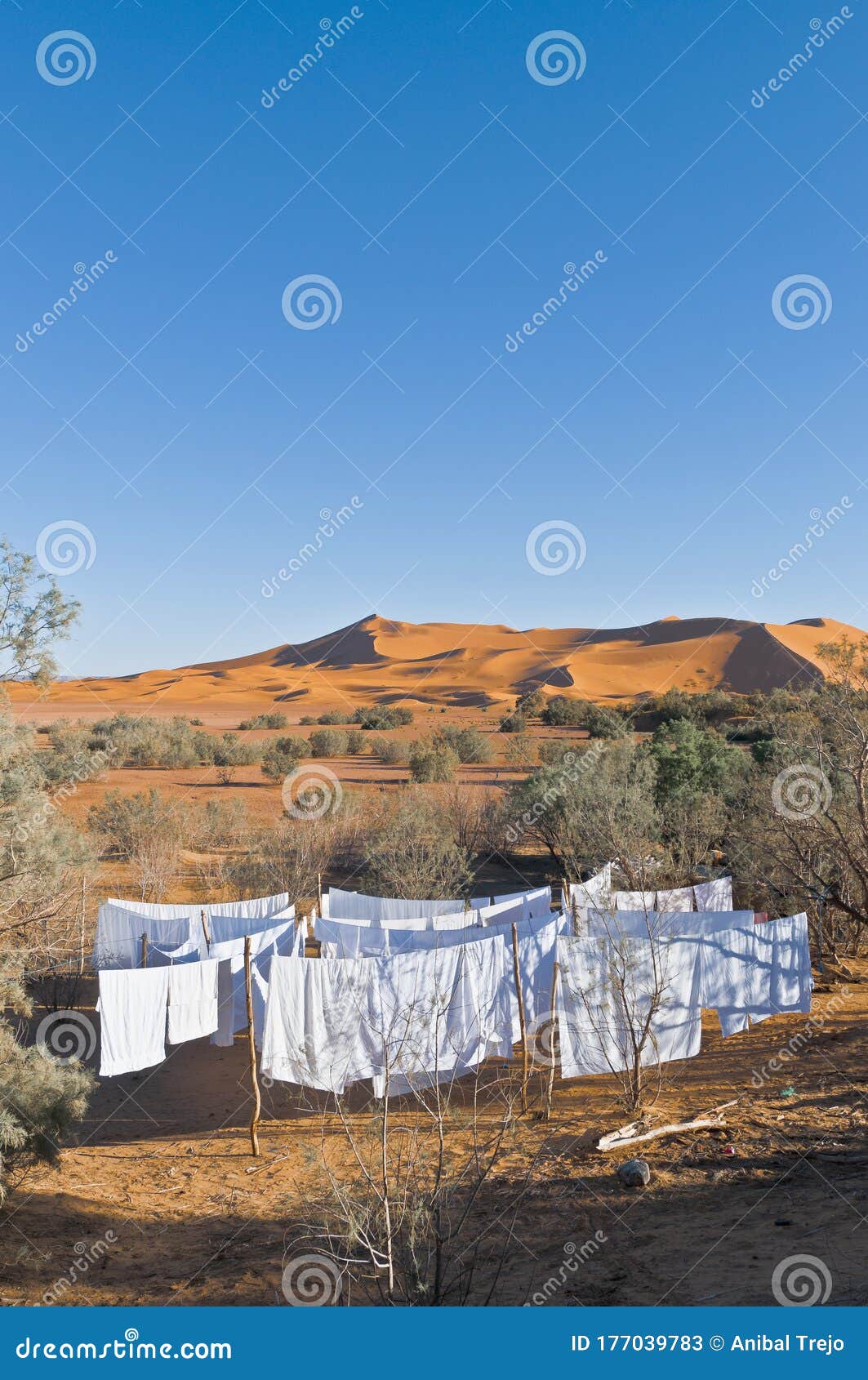 https://mdw-travel-data-us-east-1.s3.amazonaws.com/img/country/Morocco/Erg-Chebbi-Dunes/img_03.jpg