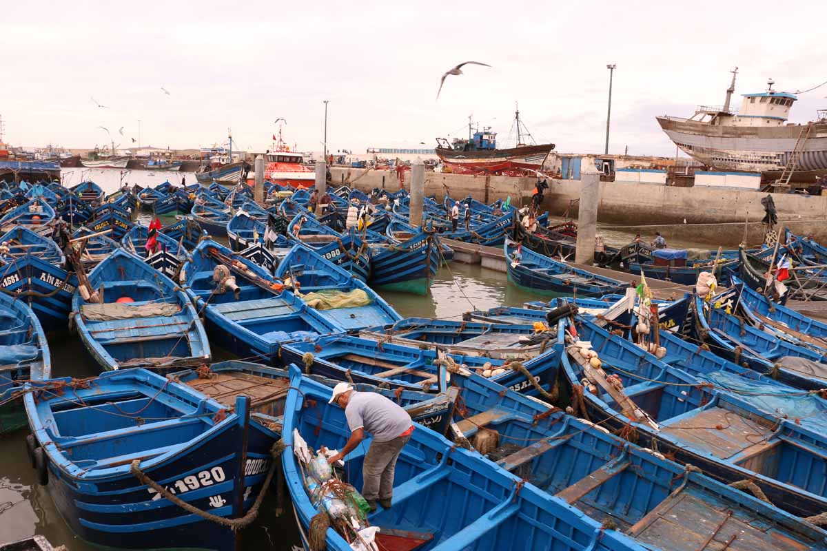 https://mdw-travel-data-us-east-1.s3.amazonaws.com/img/country/Morocco/Essaouira-Fishing-Port/img_02.jpg