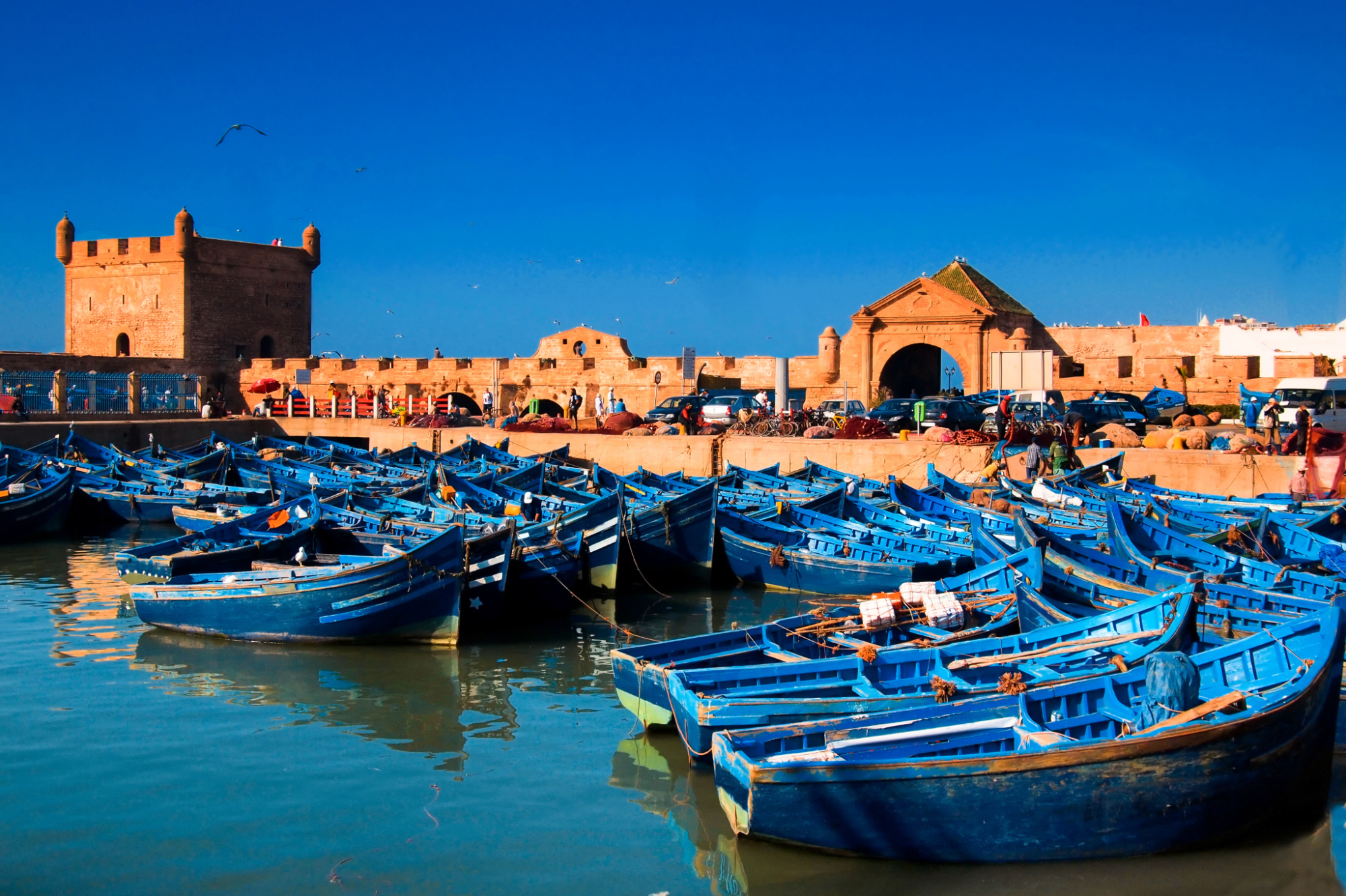https://mdw-travel-data-us-east-1.s3.amazonaws.com/img/country/Morocco/Essaouira-Fishing-Port/img_03.jpg