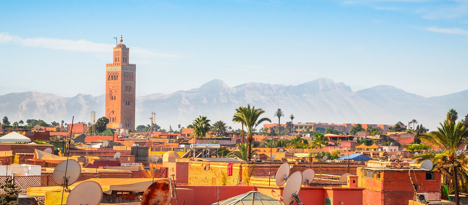 https://mdw-travel-data-us-east-1.s3.amazonaws.com/img/country/Morocco/Garden-of-Olhao/img_03.jpg