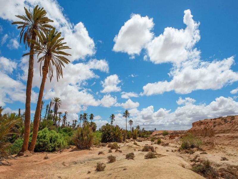 https://mdw-travel-data-us-east-1.s3.amazonaws.com/img/country/Morocco/Guelmim-Oasis/img_00.jpg