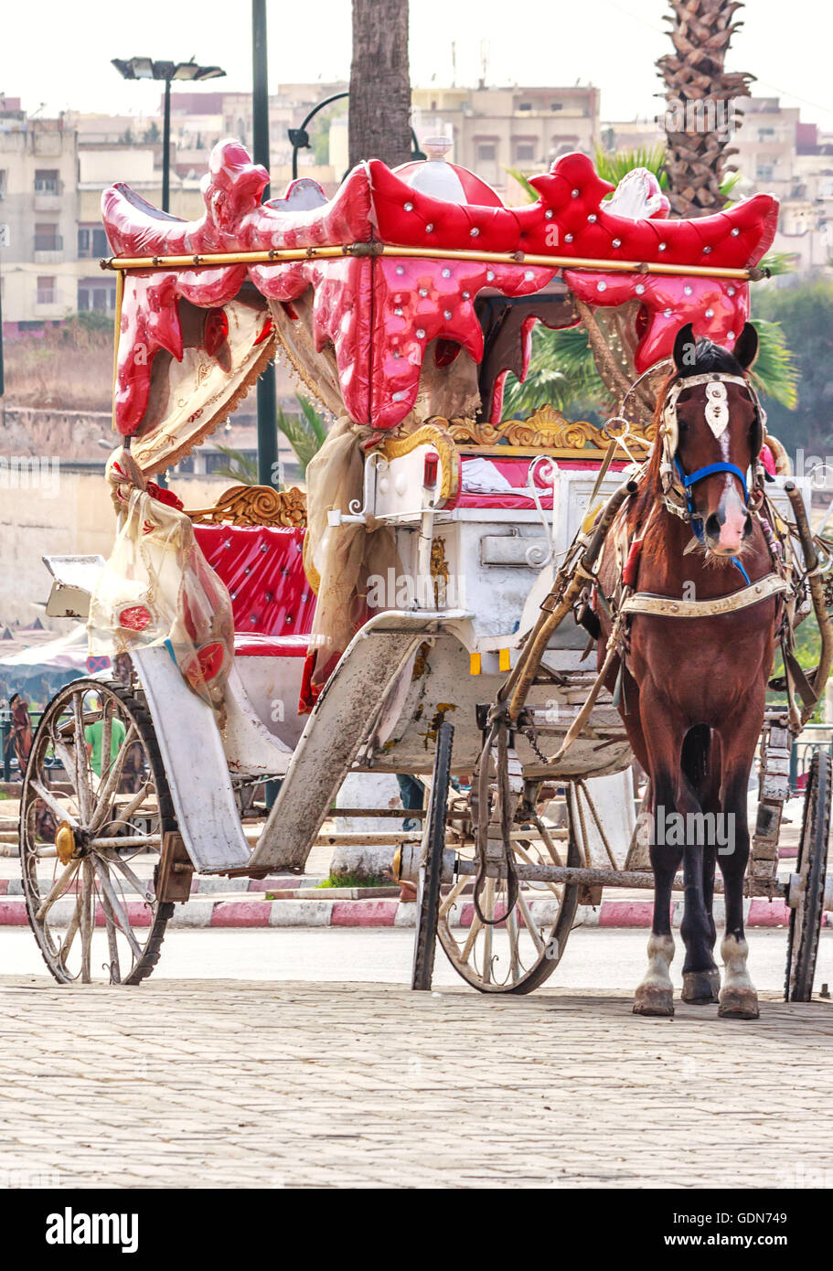 https://mdw-travel-data-us-east-1.s3.amazonaws.com/img/country/Morocco/Horse-drawn-Carriage-Rides/img_01.jpg