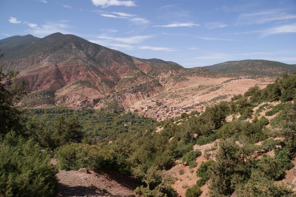 https://mdw-travel-data-us-east-1.s3.amazonaws.com/img/country/Morocco/Ifrane-National-Park/img_02.jpg