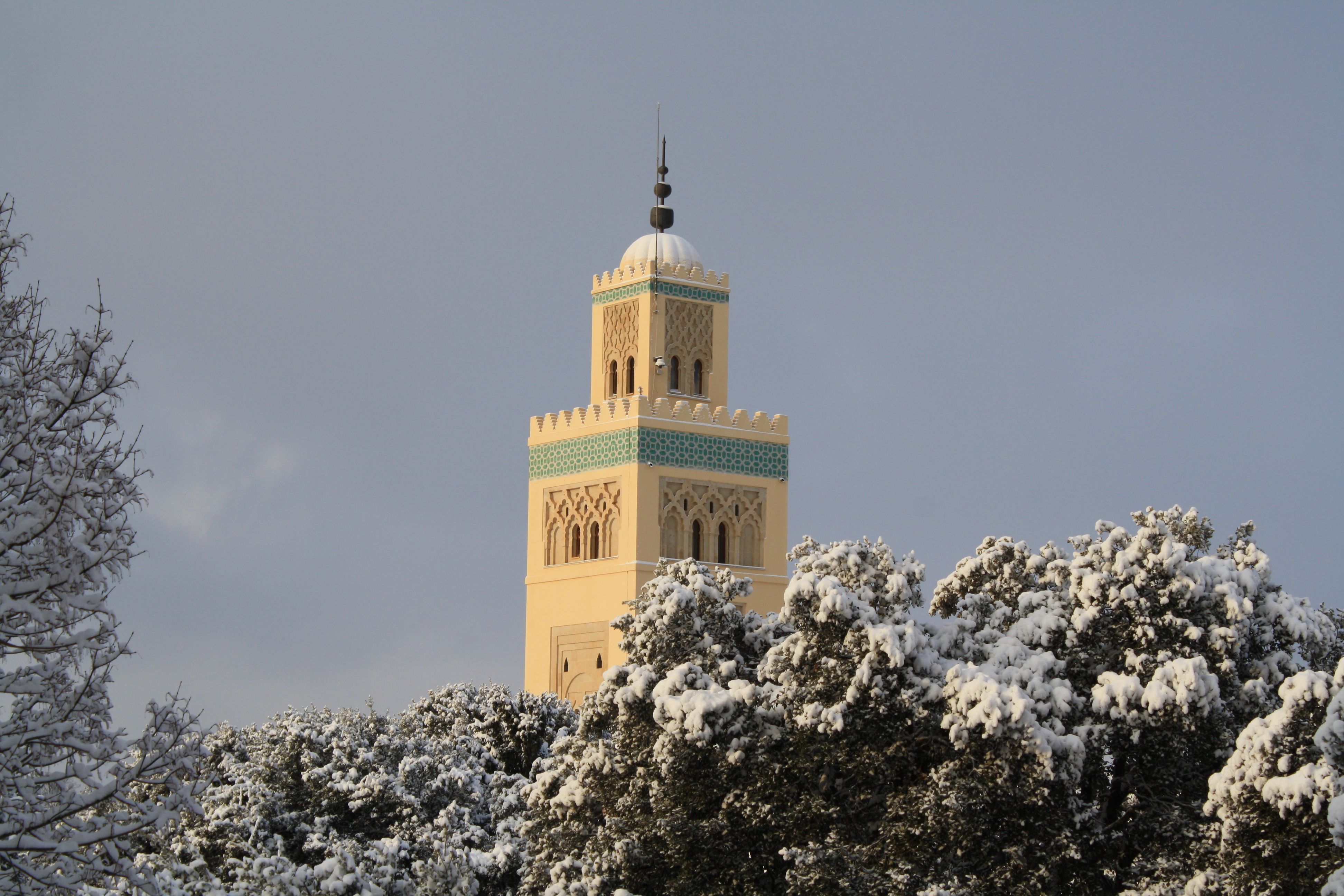 https://mdw-travel-data-us-east-1.s3.amazonaws.com/img/country/Morocco/Ifrane/img_01.jpg