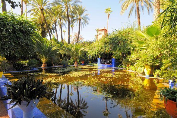 https://mdw-travel-data-us-east-1.s3.amazonaws.com/img/country/Morocco/Jardin-Majorelle/img_01.jpg
