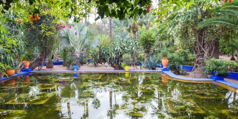 https://mdw-travel-data-us-east-1.s3.amazonaws.com/img/country/Morocco/Jardin-dEssais-Botaniques/img_02.jpg
