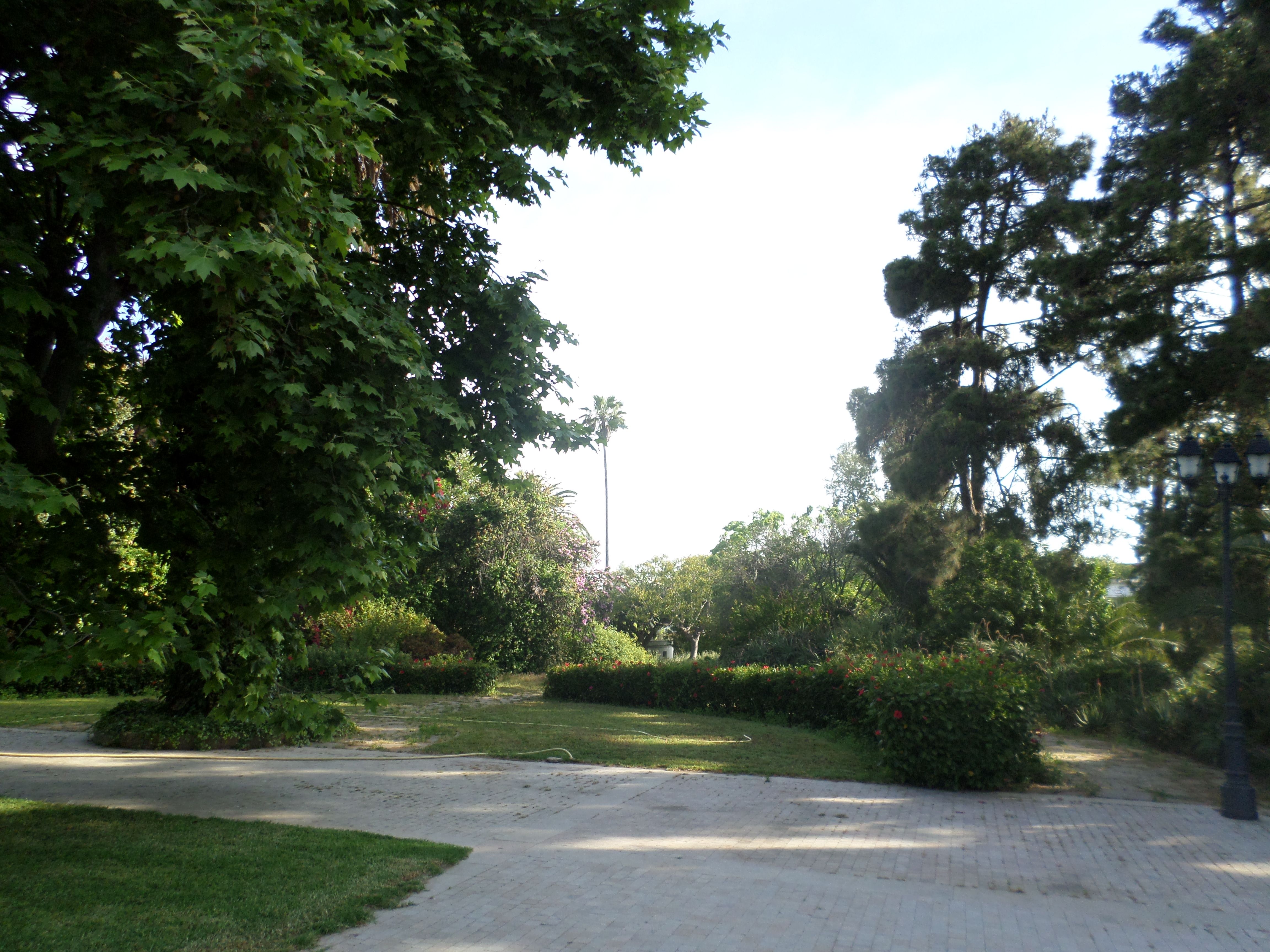 https://mdw-travel-data-us-east-1.s3.amazonaws.com/img/country/Morocco/Jardin-dEssais-Botaniques/img_03.jpg