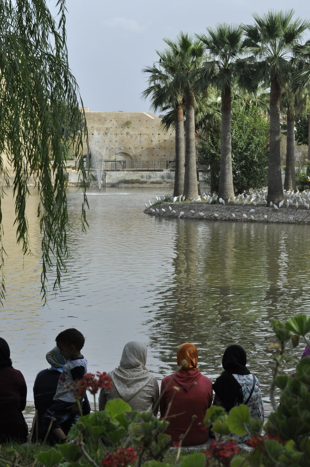 https://mdw-travel-data-us-east-1.s3.amazonaws.com/img/country/Morocco/Jnan-Sbil-Gardens/img_03.jpg