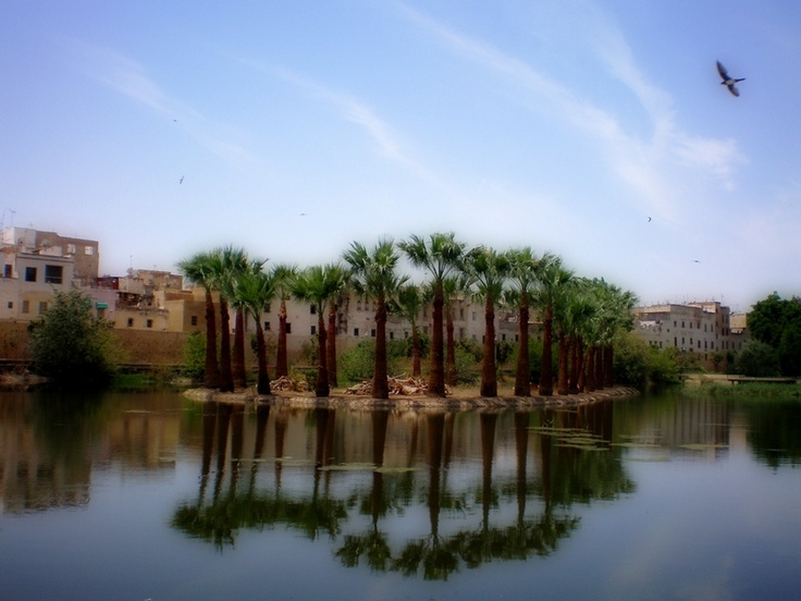 https://mdw-travel-data-us-east-1.s3.amazonaws.com/img/country/Morocco/Jnan-Sbil/img_02.jpg