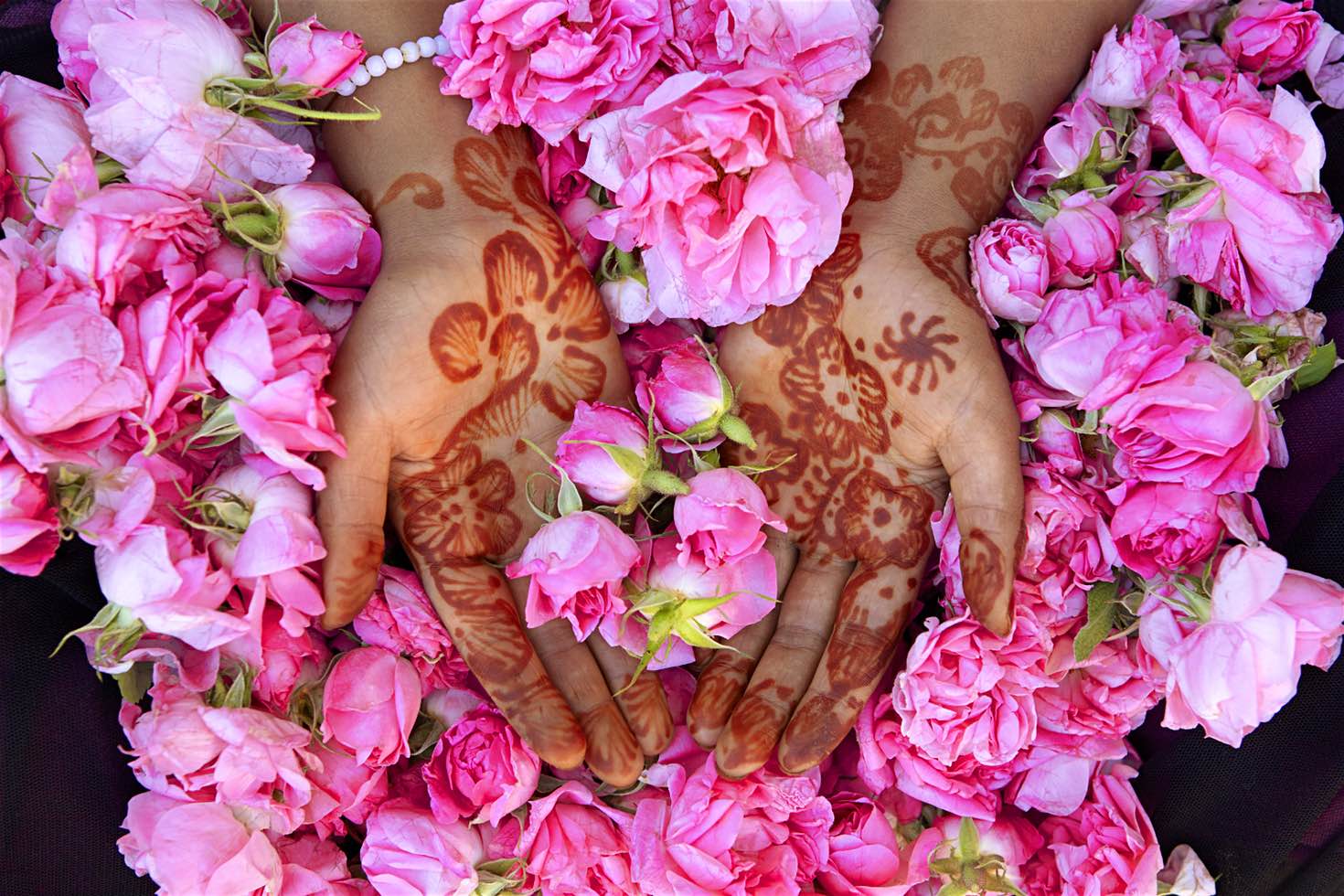 https://mdw-travel-data-us-east-1.s3.amazonaws.com/img/country/Morocco/Kelaa-MGouna-Rose-Festival/img_01.jpg