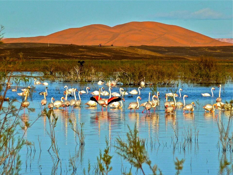 https://mdw-travel-data-us-east-1.s3.amazonaws.com/img/country/Morocco/Lake-Dayet-Srij/img_02.jpg