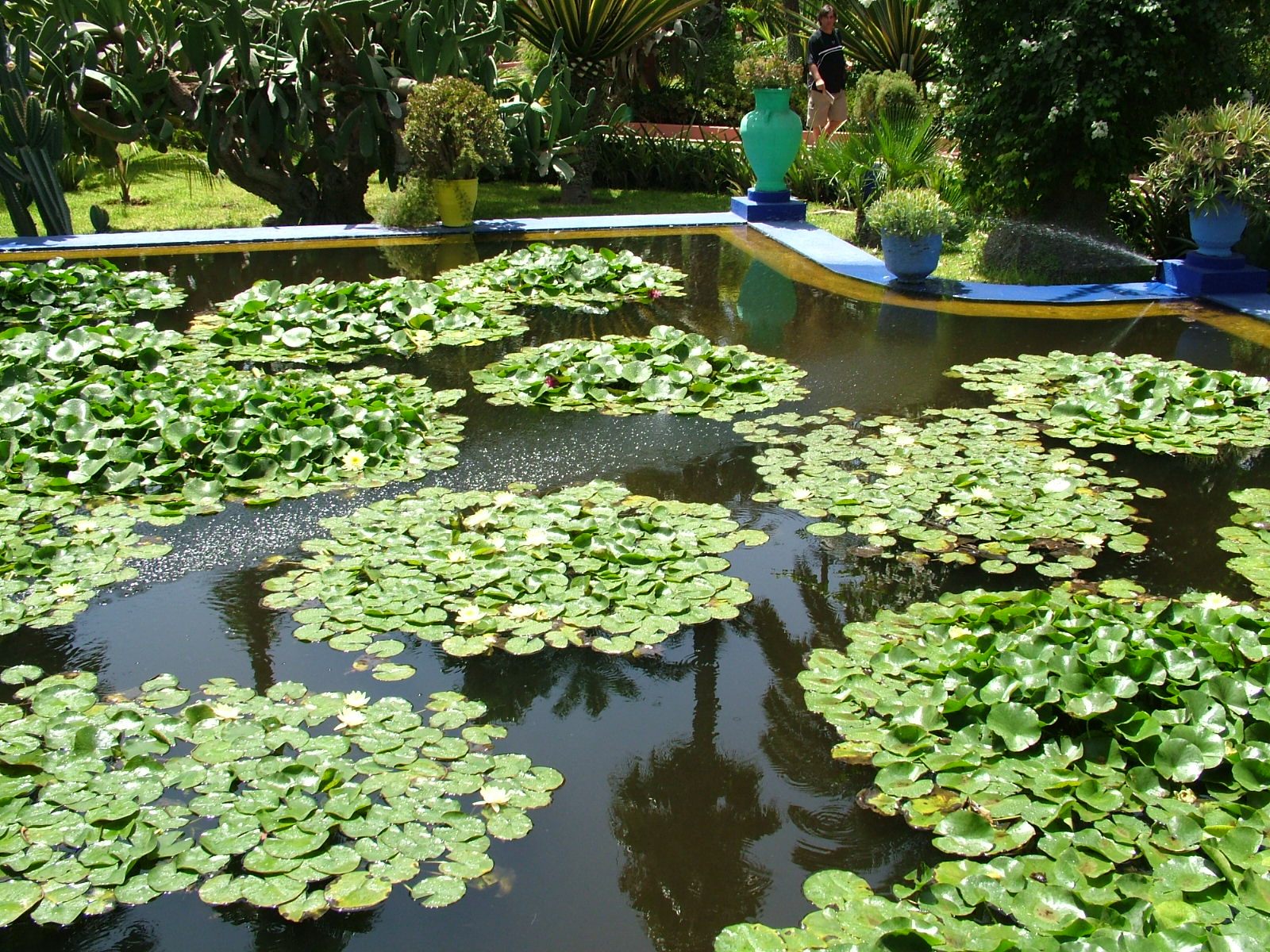 https://mdw-travel-data-us-east-1.s3.amazonaws.com/img/country/Morocco/Majorelle-Garden/img_02.jpg