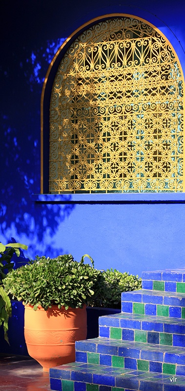 https://mdw-travel-data-us-east-1.s3.amazonaws.com/img/country/Morocco/Majorelle-Garden/img_03.jpg