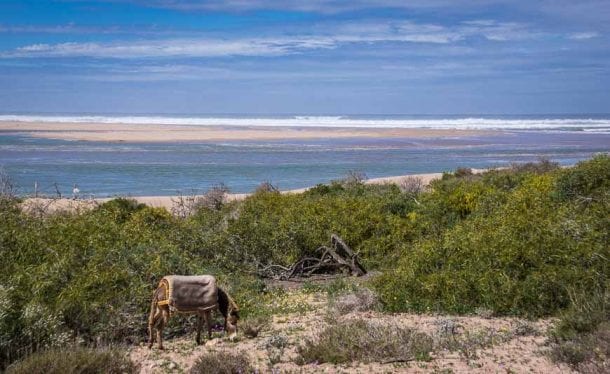 https://mdw-travel-data-us-east-1.s3.amazonaws.com/img/country/Morocco/Massa-Lagoon/img_03.jpg