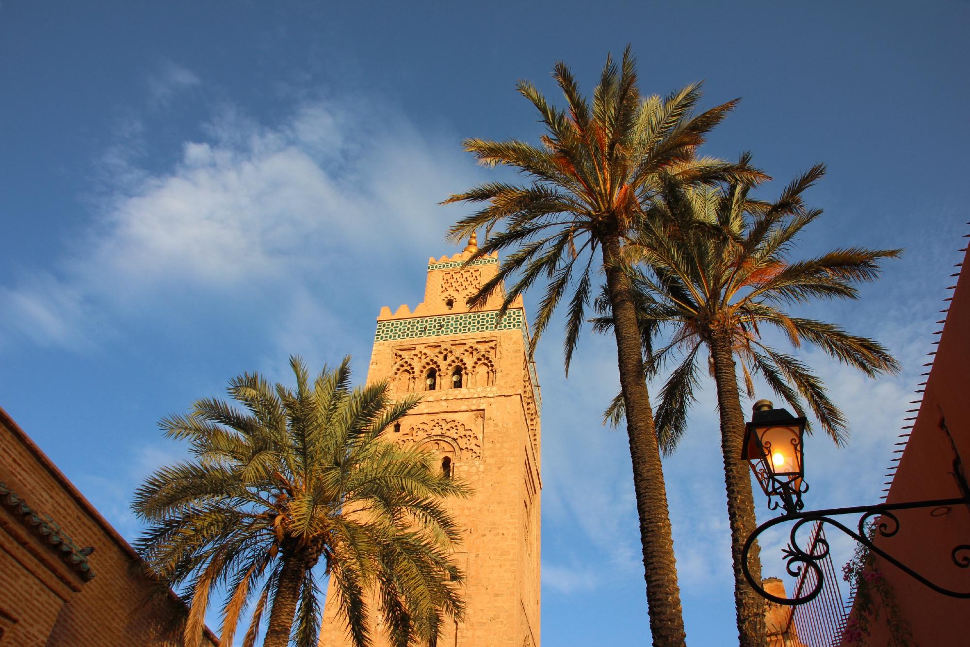 https://mdw-travel-data-us-east-1.s3.amazonaws.com/img/country/Morocco/National-Institute-of-Forestry-Agricultural-Engineering-and-Water-and-Forests/img_00.jpg