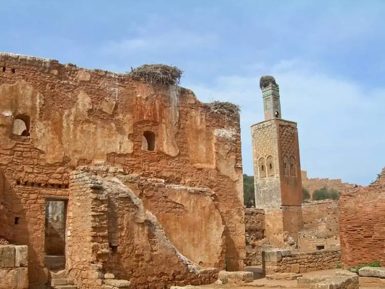 https://mdw-travel-data-us-east-1.s3.amazonaws.com/img/country/Morocco/Necropolis-of-Chellah/img_01.jpg