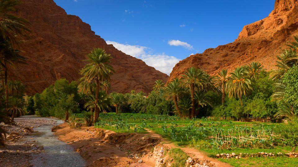 https://mdw-travel-data-us-east-1.s3.amazonaws.com/img/country/Morocco/Oasis-Fint/img_03.jpg